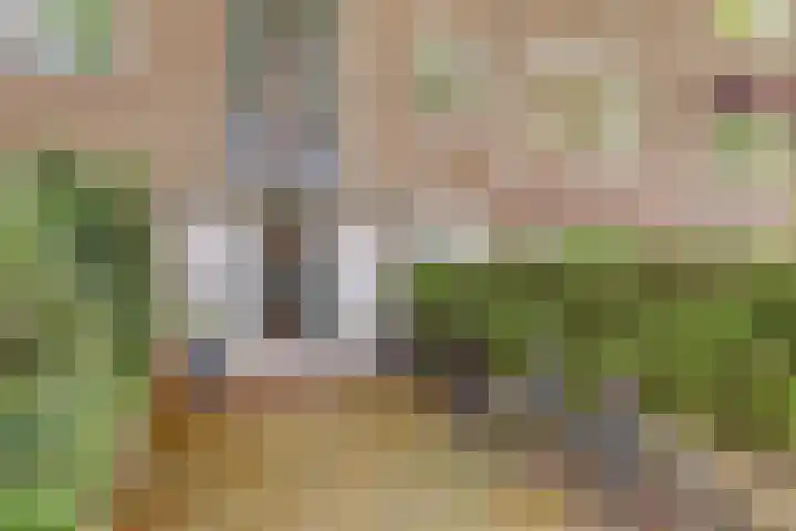 Bosdrift 217 Hilversum thumbnail 6