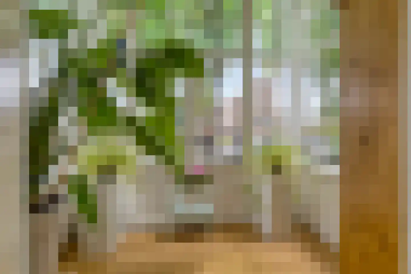 Bosdrift 22 Hilversum thumbnail 13