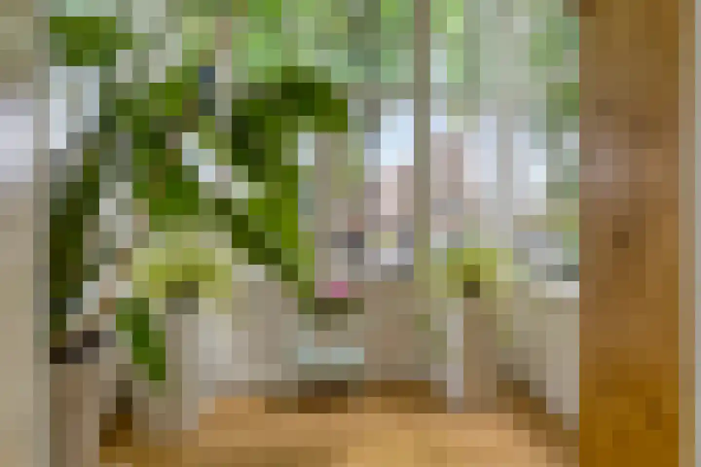 Bosdrift 22 Hilversum thumbnail 4
