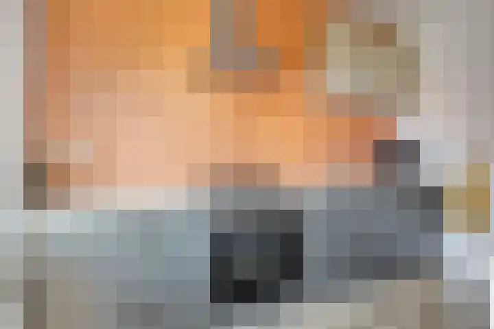 Bosdrift 225 Hilversum thumbnail 13