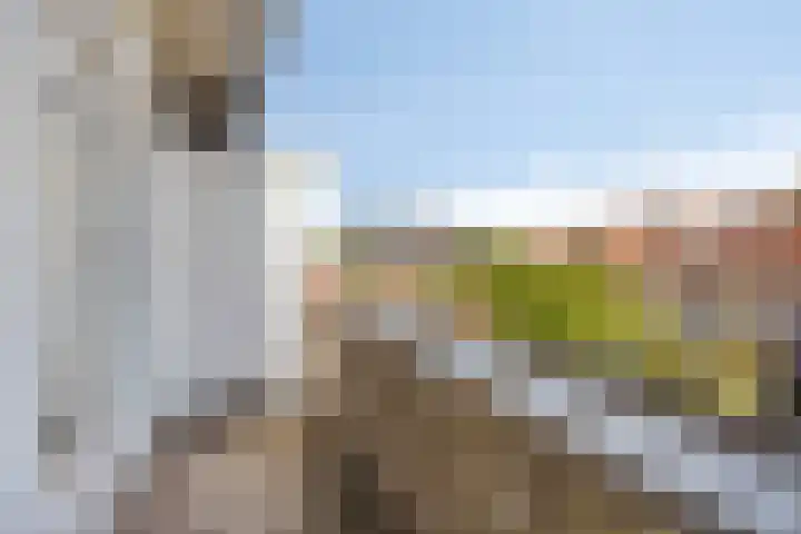 Bosdrift 225 Hilversum thumbnail 14