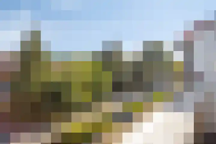 Bosdrift 225 Hilversum thumbnail 15