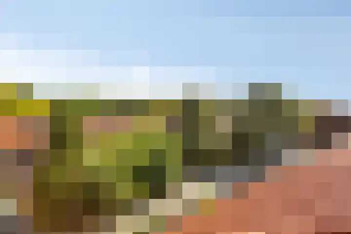 Bosdrift 225 Hilversum thumbnail 24