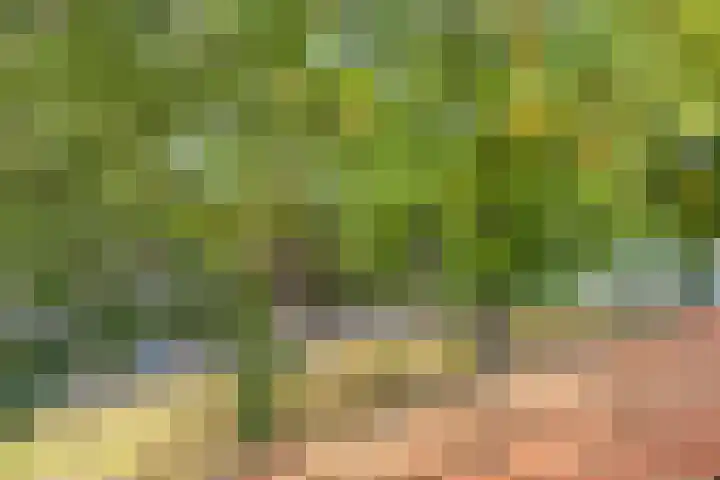 Bosdrift 225 Hilversum thumbnail 29