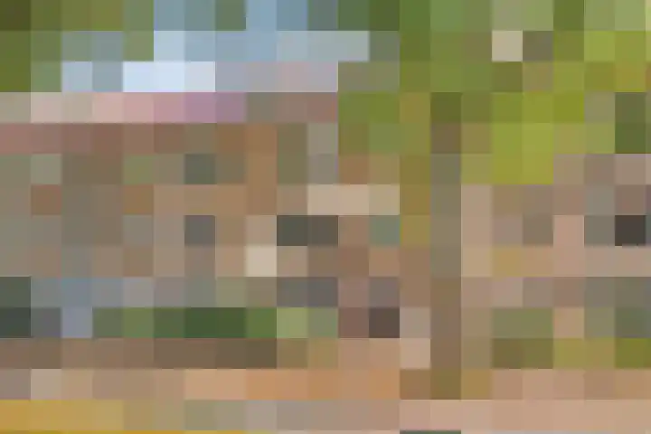 Bosdrift 225 Hilversum thumbnail 33