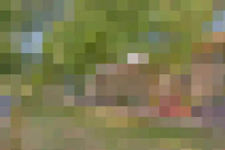 Bosdrift 225 Hilversum thumbnail 34