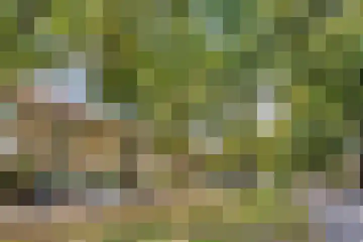 Bosdrift 225 Hilversum thumbnail 35