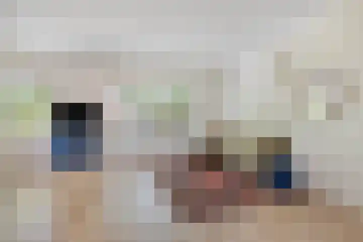 Bosdrift 225 Hilversum thumbnail 5