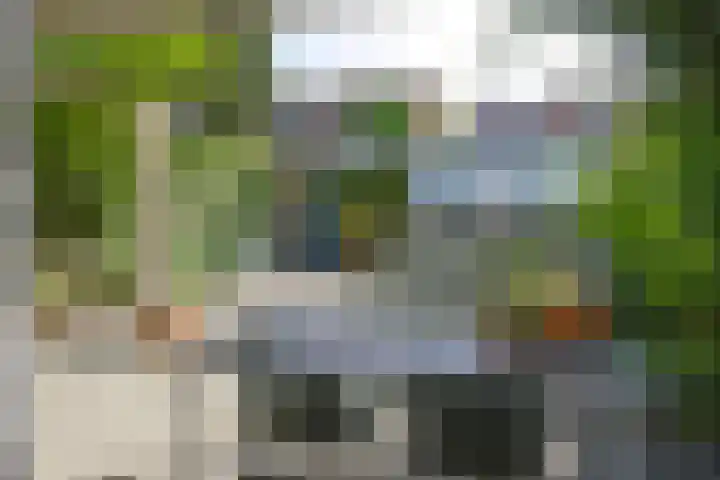 Bosdrift 251 Hilversum thumbnail 13