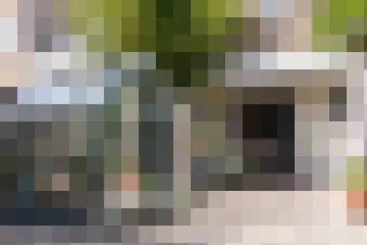 Bosdrift 251 Hilversum thumbnail 15