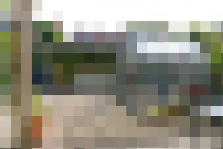 Bosdrift 251 Hilversum thumbnail 17