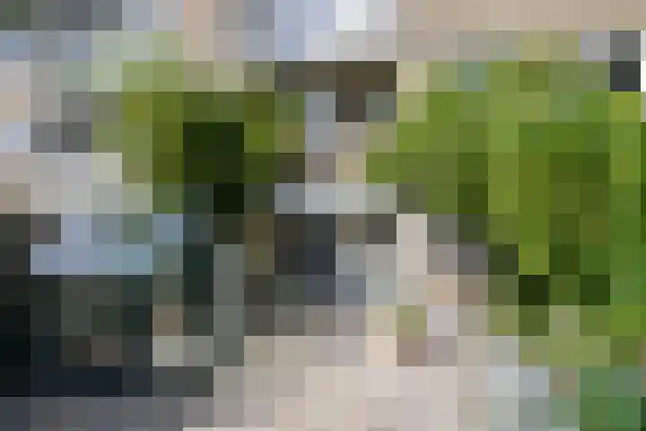 Bosdrift 251 Hilversum thumbnail 18
