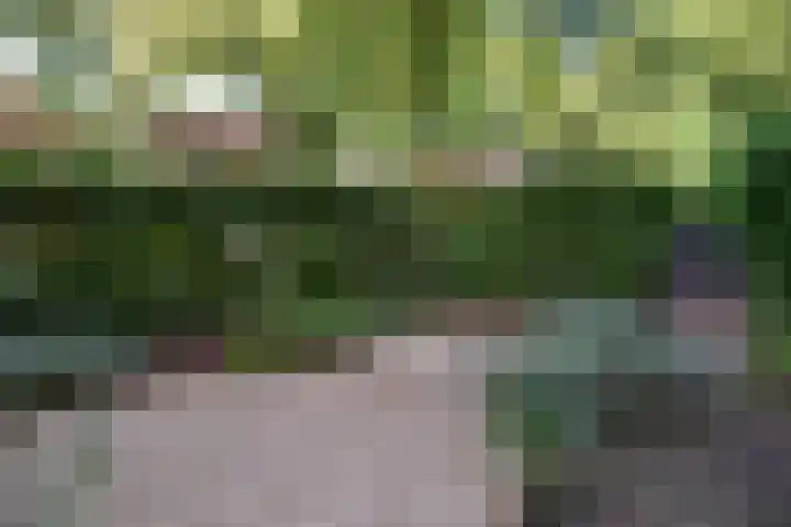 Bosdrift 251 Hilversum thumbnail 19