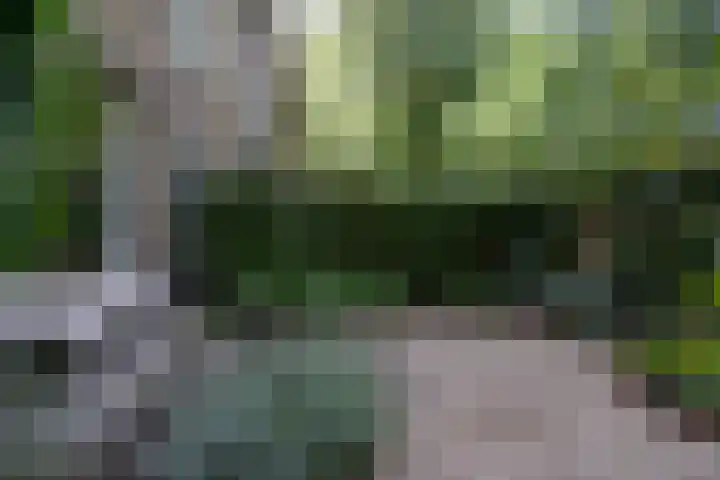 Bosdrift 251 Hilversum thumbnail 20