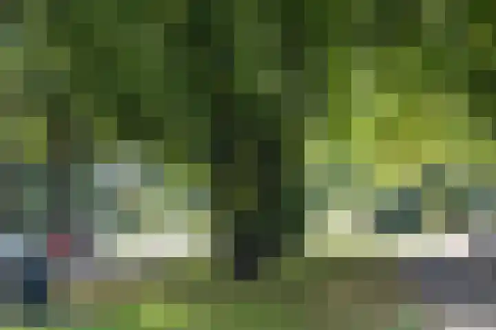 Bosdrift 251 Hilversum thumbnail 21
