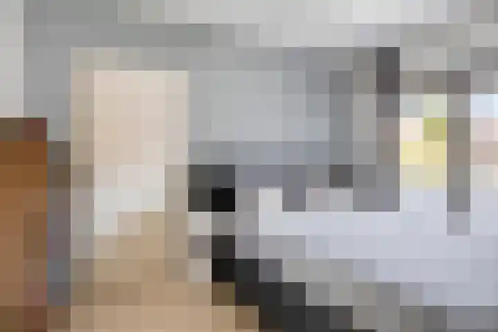Bosdrift 265 Hilversum thumbnail 12
