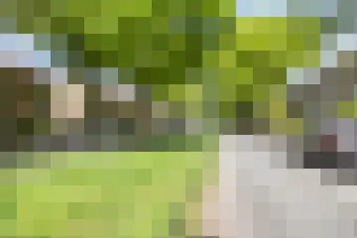 Bosdrift 265 Hilversum thumbnail 23
