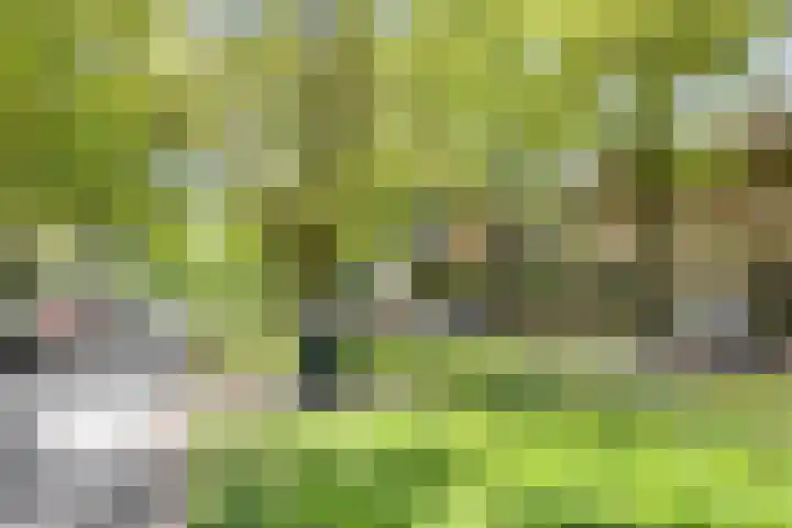 Bosdrift 265 Hilversum thumbnail 24