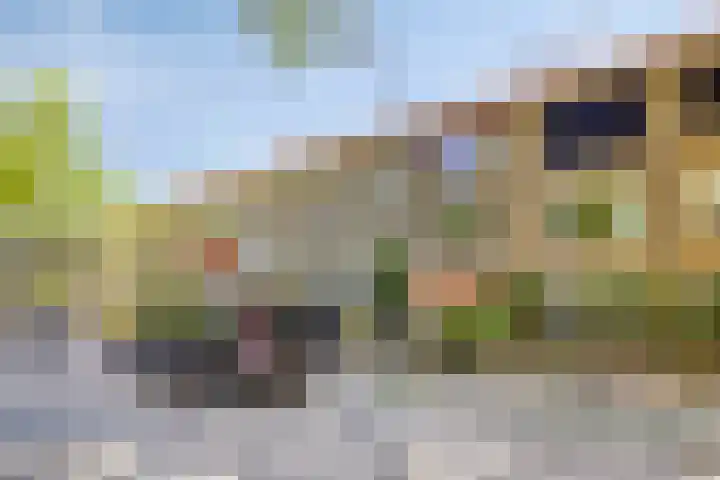 Bosdrift 265 Hilversum thumbnail 25