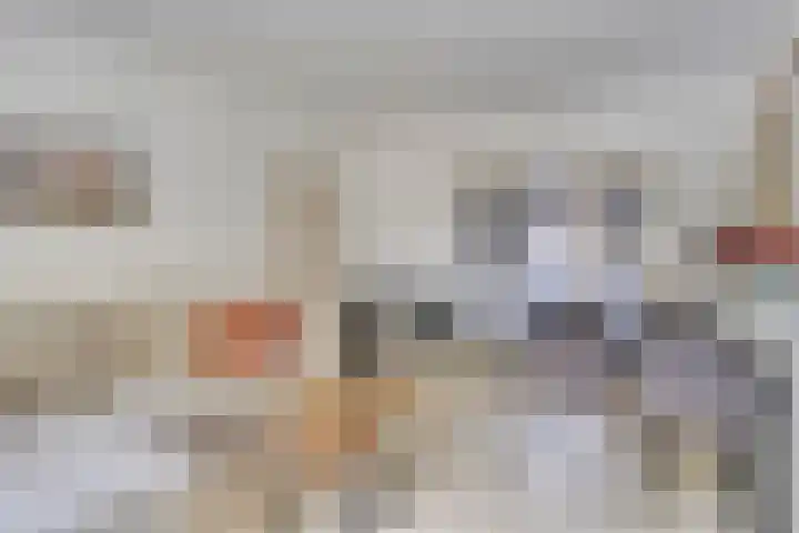 Bosdrift 265 Hilversum thumbnail 8