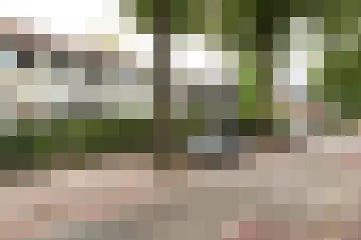 Bosdrift 45 Hilversum thumbnail 17