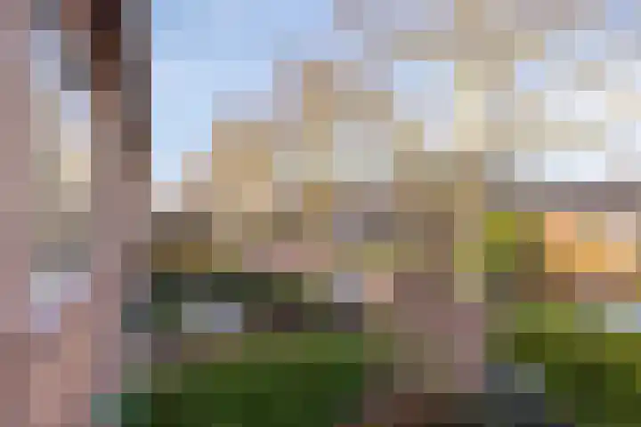 Bosduifstraat 16 Nijmegen thumbnail 30