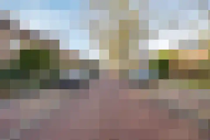 Bosduifstraat 16 Nijmegen thumbnail 5