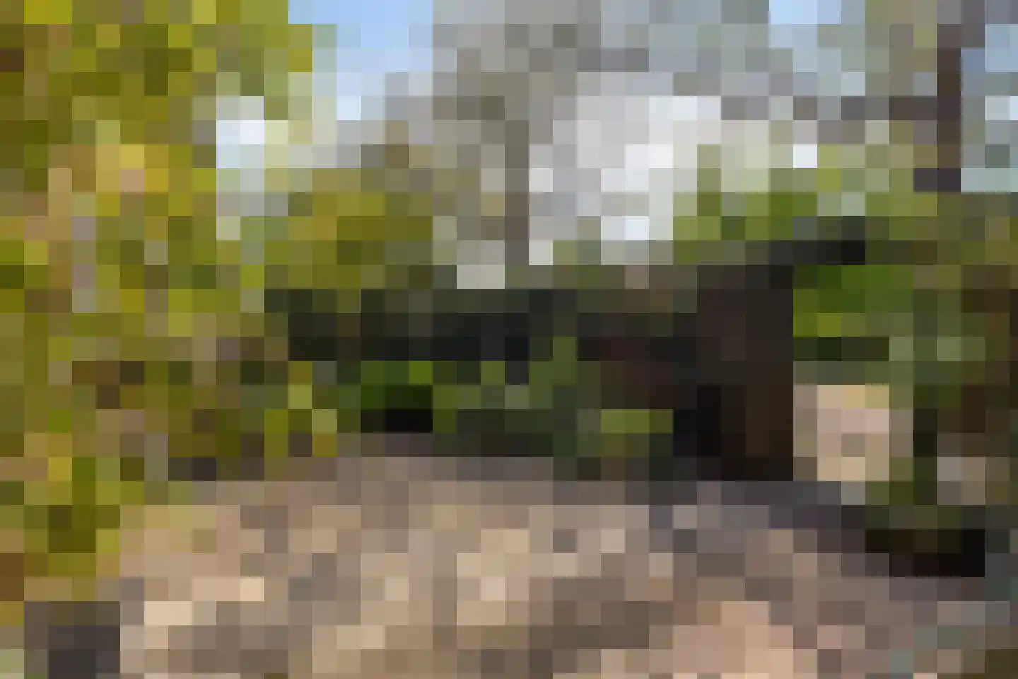 Bosduifstraat 18 Nijmegen thumbnail 6