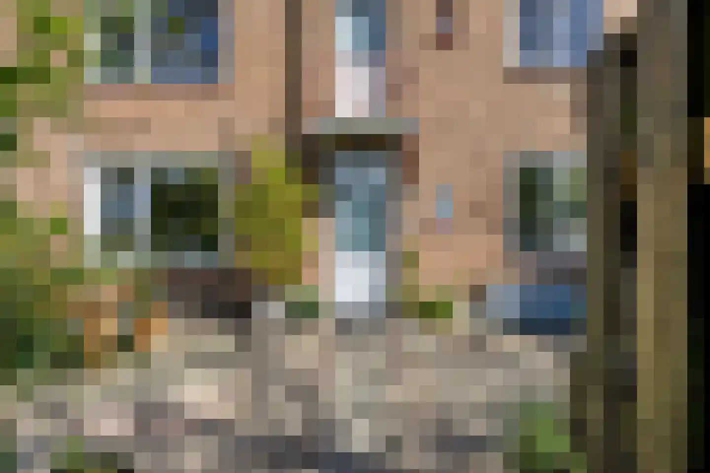 Bosduifstraat 18 Nijmegen thumbnail 9