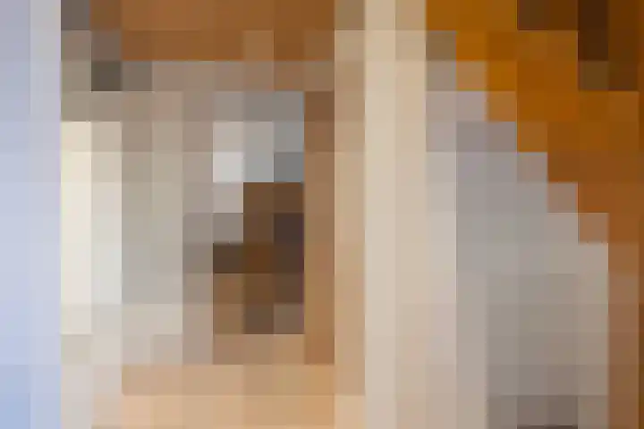 Boserf 17 Sint Philipsland thumbnail 11