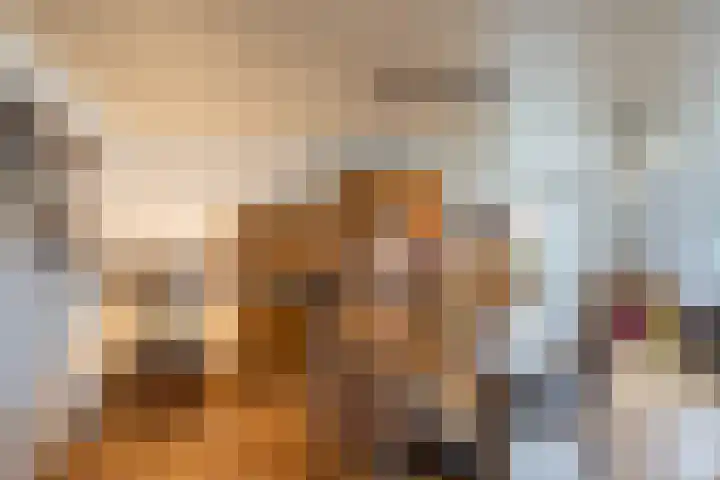 Boserf 17 Sint Philipsland thumbnail 12