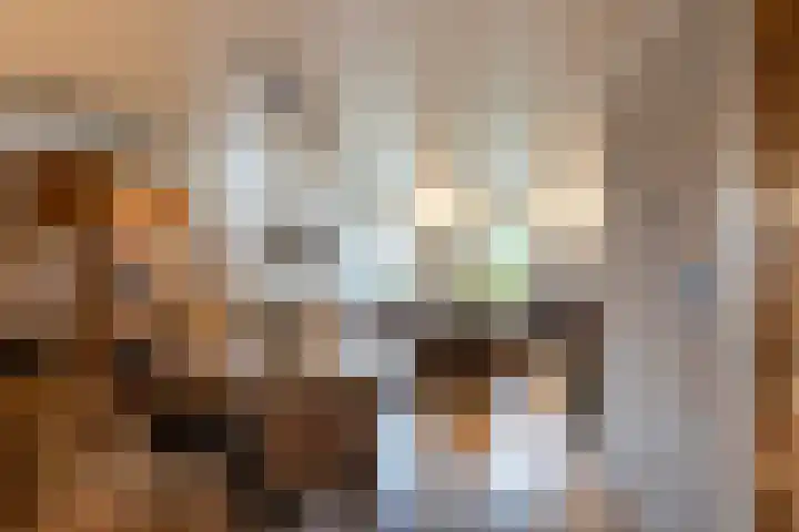 Boserf 17 Sint Philipsland thumbnail 13