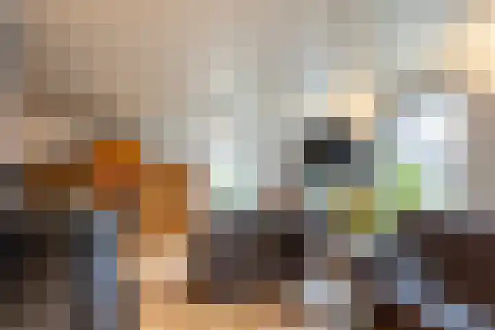 Boserf 17 Sint Philipsland thumbnail 16