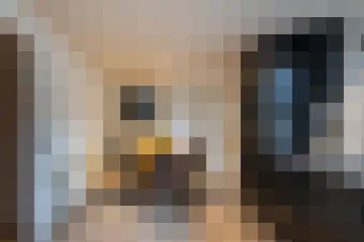 Boserf 17 Sint Philipsland thumbnail 18