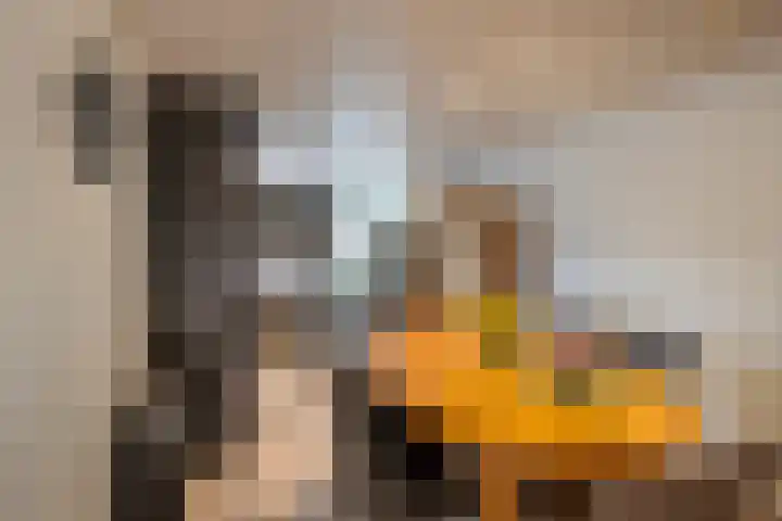 Boserf 17 Sint Philipsland thumbnail 19