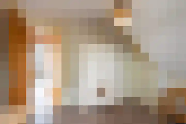 Boserf 17 Sint Philipsland thumbnail 29