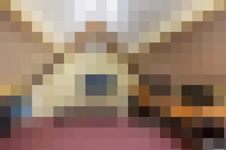 Boserf 17 Sint Philipsland thumbnail 36