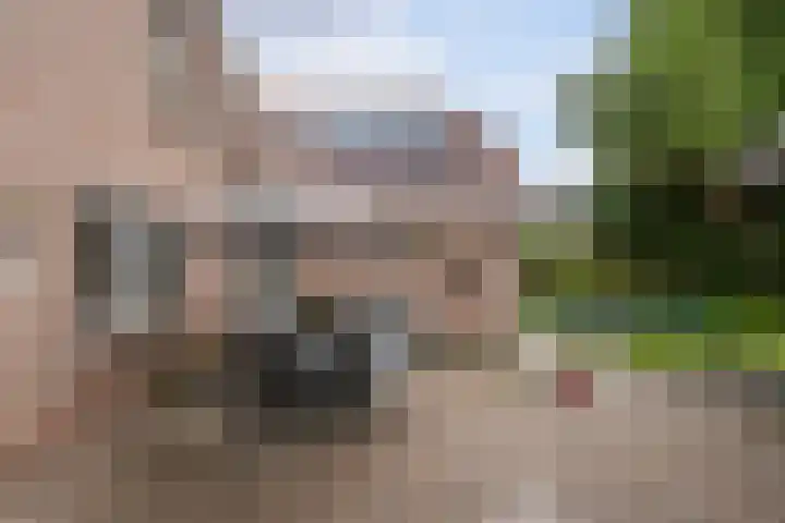 Boserf 17 Sint Philipsland thumbnail 37