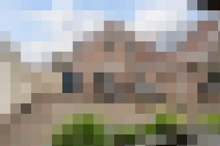 Boserf 17 Sint Philipsland thumbnail 38