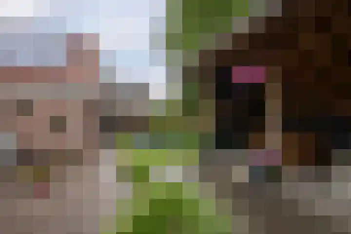 Boserf 17 Sint Philipsland thumbnail 39