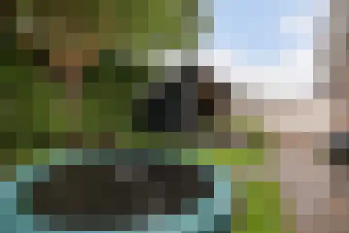 Boserf 17 Sint Philipsland thumbnail 40