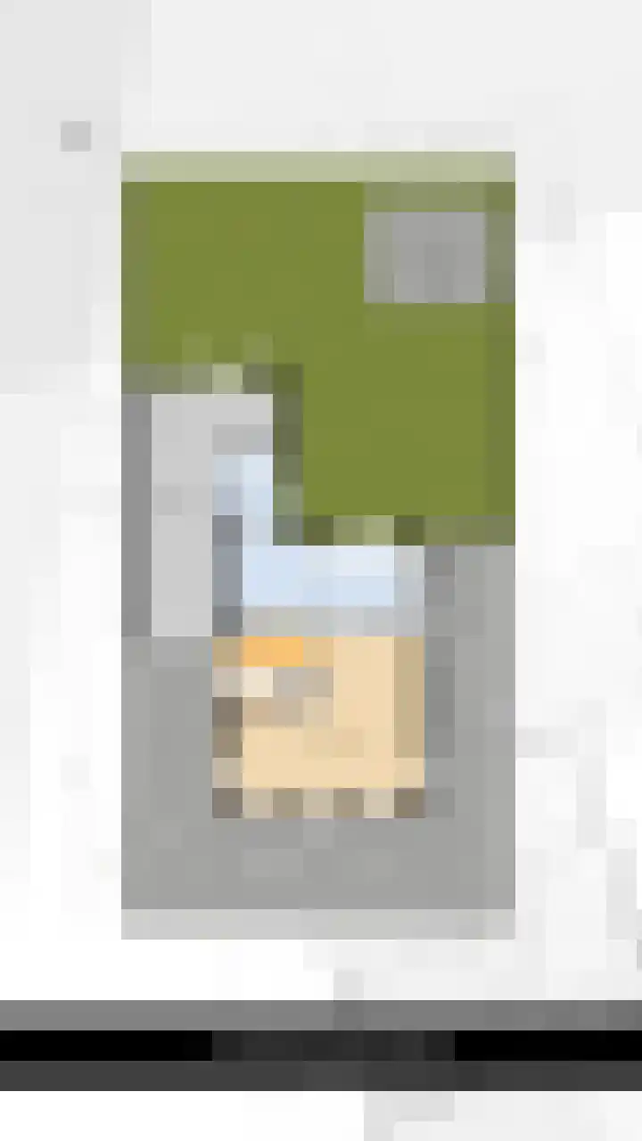 Boserf 17 Sint Philipsland thumbnail 44