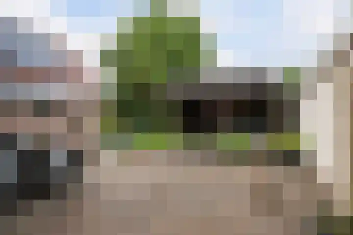 Boserf 17 Sint Philipsland thumbnail 5