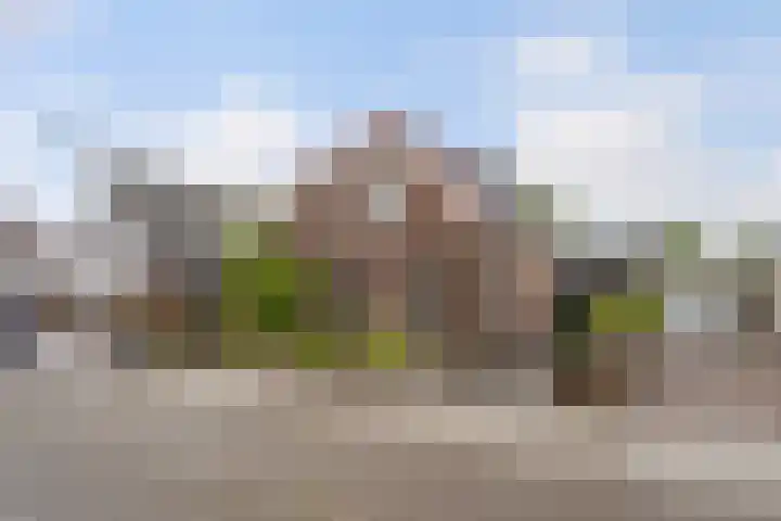 Boserf 17 Sint Philipsland thumbnail 6