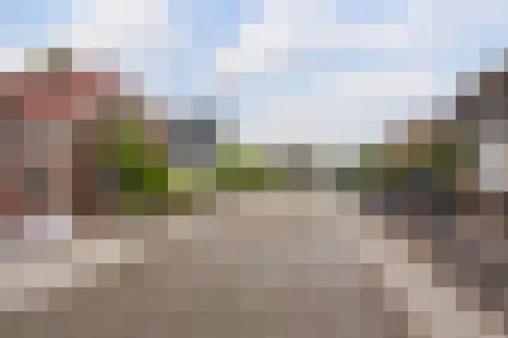 Boserf 17 Sint Philipsland thumbnail 7