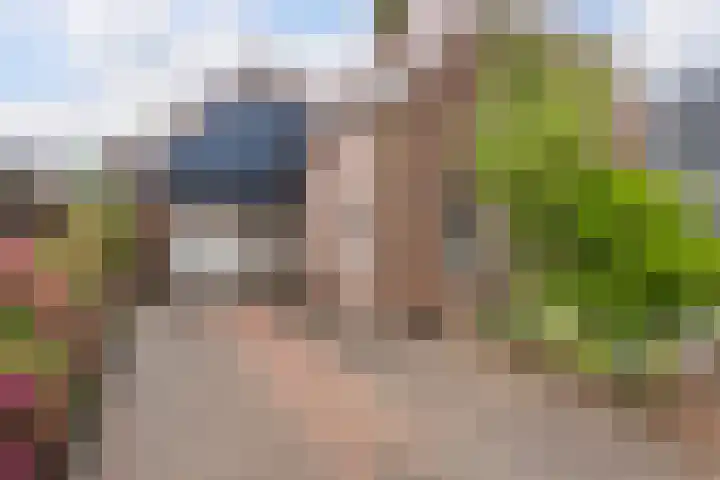 Boserf 17 Sint Philipsland thumbnail 8