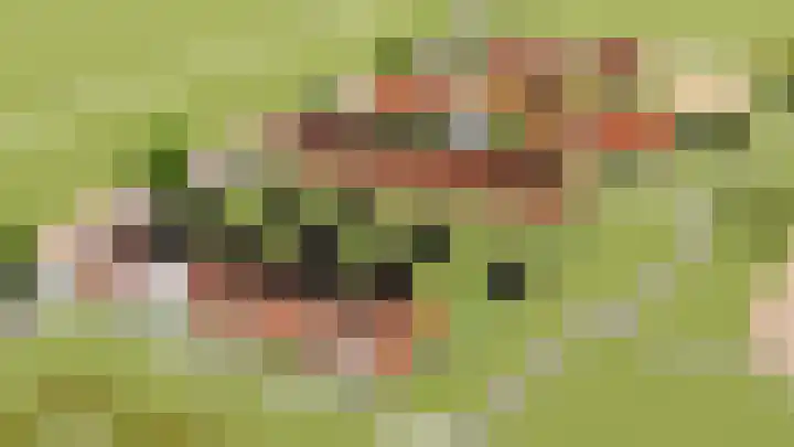 Boserf 3 Sint Philipsland thumbnail 8