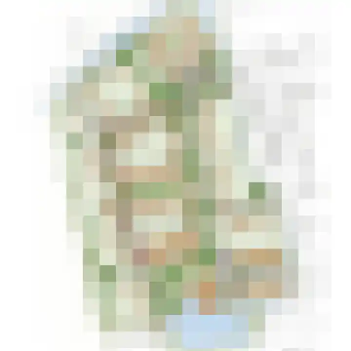 Boserf 5 Sint Philipsland thumbnail 8