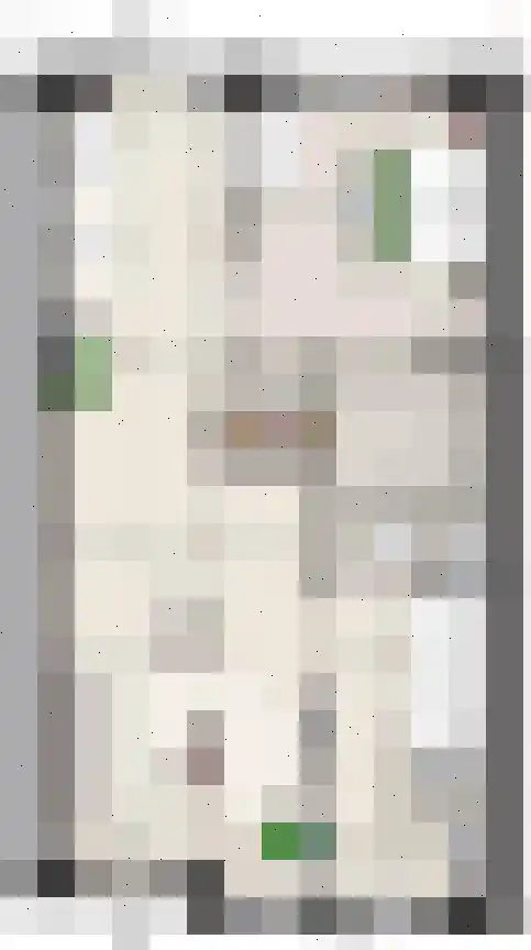 Boserf 7 Sint Philipsland thumbnail 4