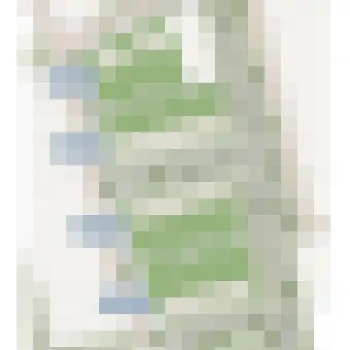 Boserf 9 Sint Philipsland thumbnail 7